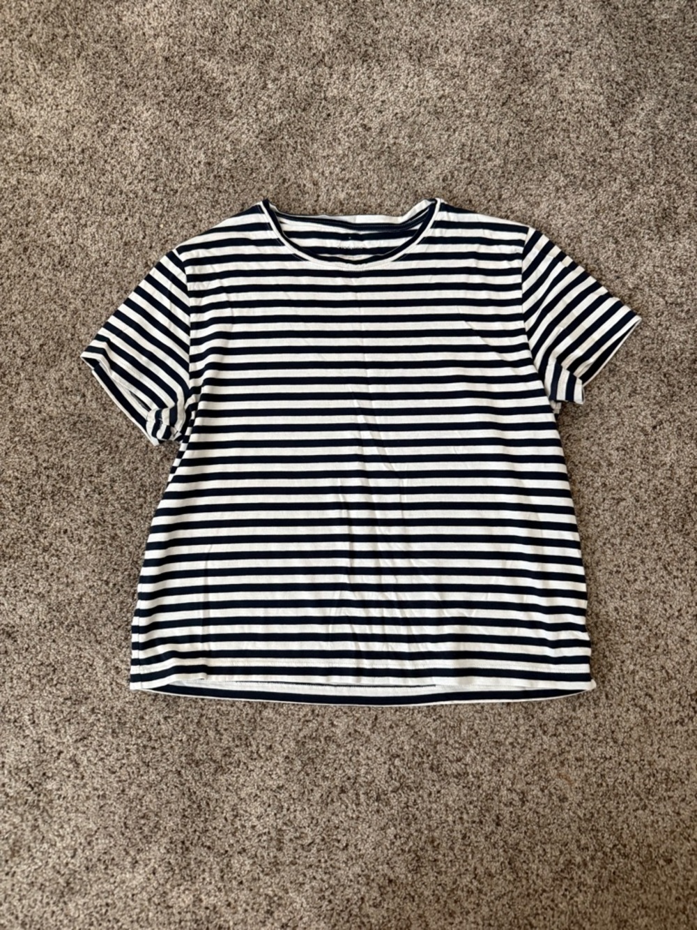Everlane Navy and White Striped Crew Tee